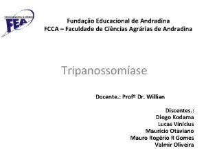 Fundao Educacional de Andradina FCCA Faculdade de Cincias