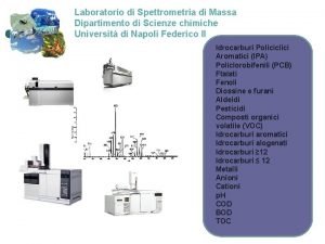 Laboratorio di Spettrometria di Massa Dipartimento di Scienze