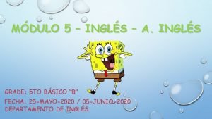 Los conectores