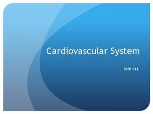 Cardiovascular System KNH 411 Hypertension Nutrition Therapy DASH