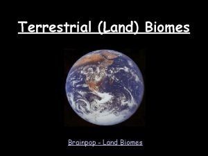 Land biomes brainpop