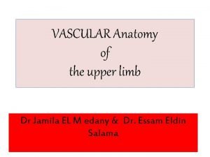 Wrist joint blood supply