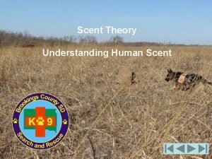 Scent cone theory