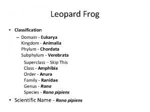 Classification of leopard frog from kingdom to species