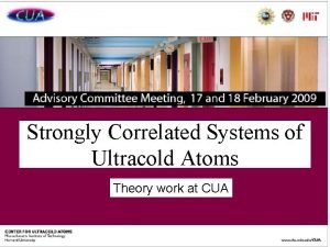 Strongly Correlated Systems of Ultracold Atoms Theory work