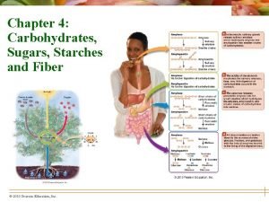 Chapter 4 Carbohydrates Sugars Starches and Fiber 2010