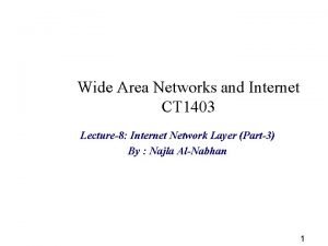 Wide Area Networks and Internet CT 1403 Lecture8