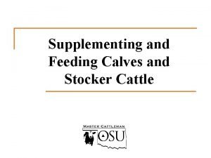 Supplementing and Feeding Calves and Stocker Cattle Discussion