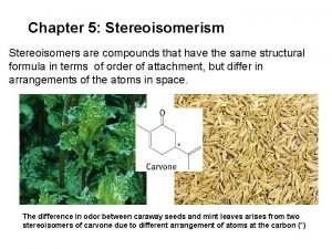 Chapter 5 Stereoisomerism Stereoisomers are compounds that have