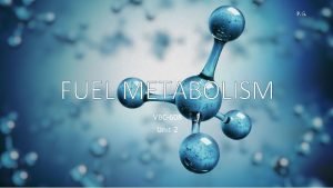 P G FUEL METABOLISM VBC608 Unit2 Metabolic Profile