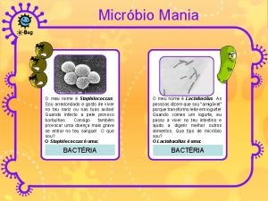 Micrbio Mania O meu nome Staphilococcus Sou arredondado