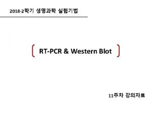 Easy blue rna extraction