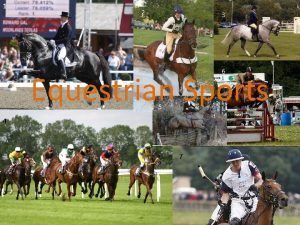 1 2 3 6 Equestrian Sports 5 4