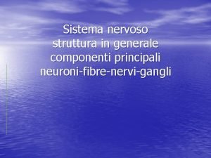 Sistema nervoso struttura in generale componenti principali neuronifibrenervigangli