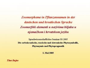 Zoomorpheme in Pflanzennamen in der deutschen und kroatischen