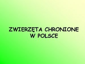 ZWIERZTA CHRONIONE W POLSCE NIEDWIED BRUNATNY Najpotniejszy drapienik