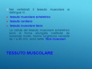 Nei vertebrati il tessuto muscolare si distingue in