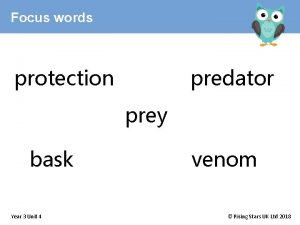 Focus words protection predator prey bask Year 3