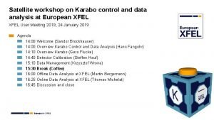 Satellite workshop on Karabo control and data analysis