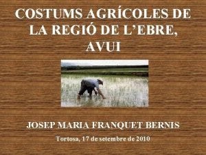 COSTUMS AGRCOLES DE LA REGI DE LEBRE AVUI