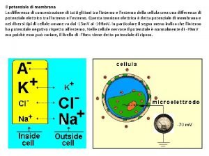 Potenziale d'azione