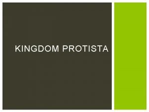 KINGDOM PROTISTA WHY THEY ARE GROUPED TOGETHER All