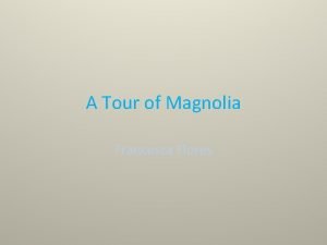 A Tour of Magnolia Francesca Flores http vignette