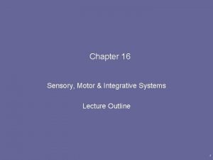 Chapter 16 Sensory Motor Integrative Systems Lecture Outline