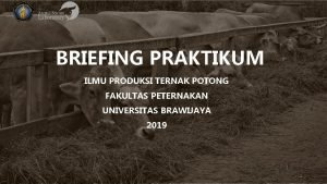 BRIEFING PRAKTIKUM ILMU PRODUKSI TERNAK POTONG FAKULTAS PETERNAKAN