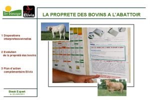 LA PROPRETE DES BOVINS A LABATTOIR 1 Dispositions