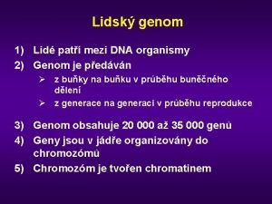 Lidsk genom 1 Lid pat mezi DNA organismy