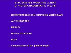 STRATEGIE PER AUMENTARE LA RESA DI PROTEINA RICOMBINANTE