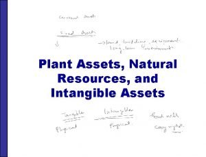 Plant Assets Natural Resources and Intangible Assets PLANT