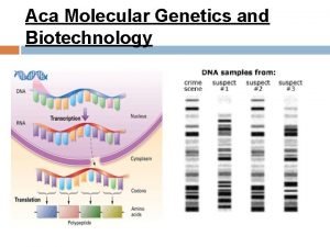 Aca Molecular Genetics and Biotechnology Main Idea DNA