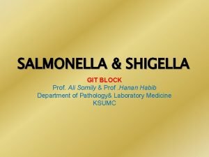 SALMONELLA SHIGELLA GIT BLOCK Prof Ali Somily Prof