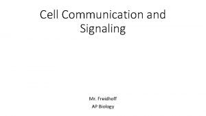 Cell Communication and Signaling Mr Freidhoff AP Biology