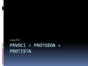 2009 HCl PRVOCI PROTOZOA PROTISTA Prvoci obecn e