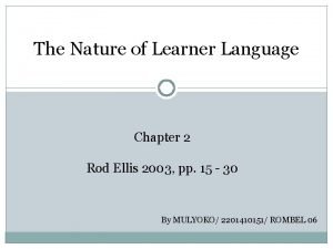 The nature of learner language