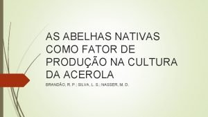 AS ABELHAS NATIVAS COMO FATOR DE PRODUO NA