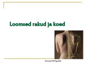 Loomsed rakud ja koed Koostas M Agasild RAKUTEOORIA