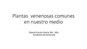 Plantas venenosas comunes en nuestro medio Silverio Garzn