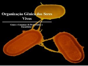 Organizao Gnica dos Seres Vivos Genes e Genomas