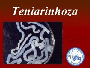 Teniarinhoza Life cycle of Taenia saginata beef tapeworm