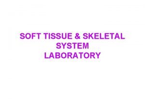SOFT TISSUE SKELETAL SYSTEM LABORATORY Soft Tissue Tumors