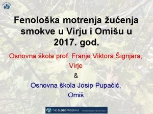 Fenoloka motrenja uenja smokve u Virju i Omiu