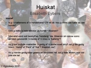 Huiskat elisabeth eybers