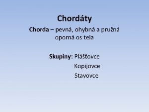 Chordty Chorda pevn ohybn a prun oporn os