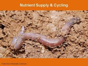 Nutrient Supply Cycling Photo from Wikimedia Commons Biogeochemistry