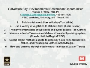 Galveston Bay Environmental Restoration Opportunities Thomas E White