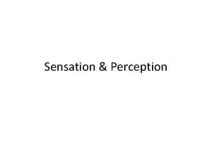Sensation Perception Sensation The Senses Sight Vision Hearing